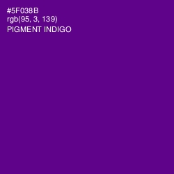 #5F038B - Pigment Indigo Color Image